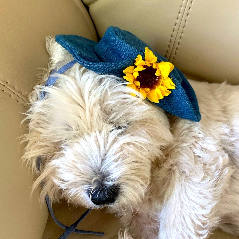 Small denim dog hat with sunflower